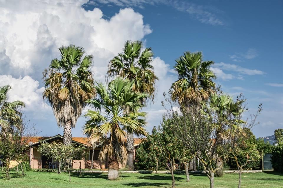 Tortuga Casa Vacanze Scarlino Buitenkant foto